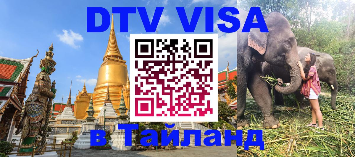 Сколько стоит DTV виза — актуальные цены, оформление даже без документов - Раменское  19.11.2025 